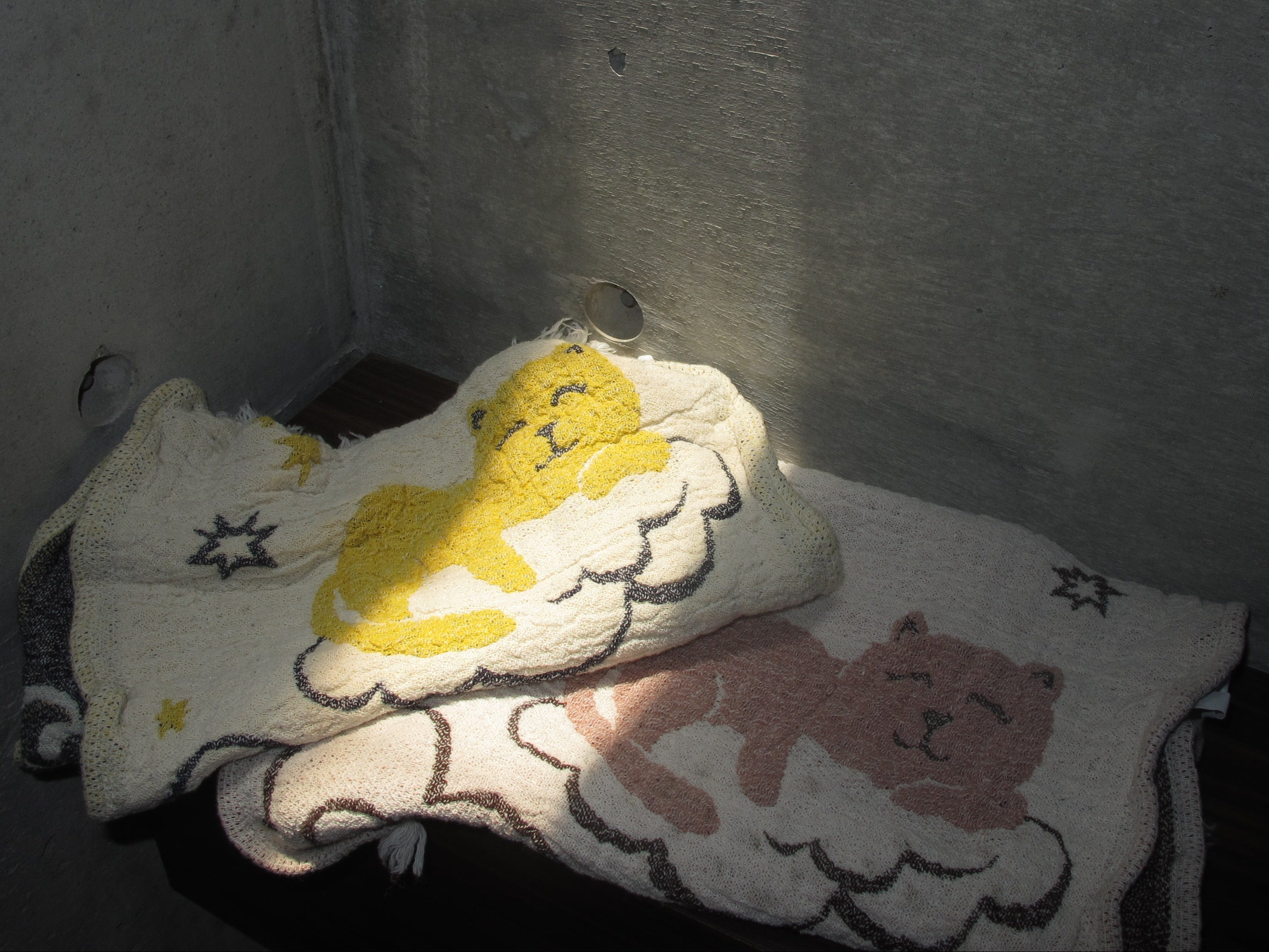 フェイスタオル　猫　