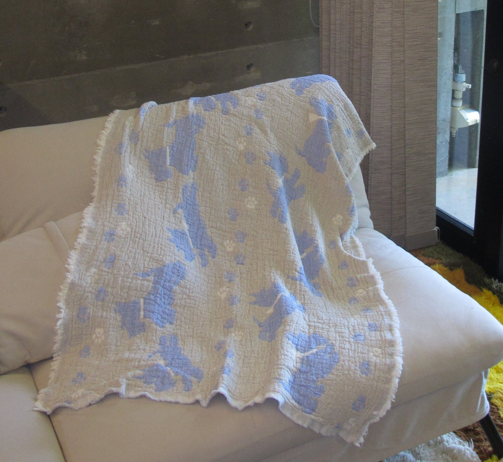 アニマルタオル　犬　cream/blue