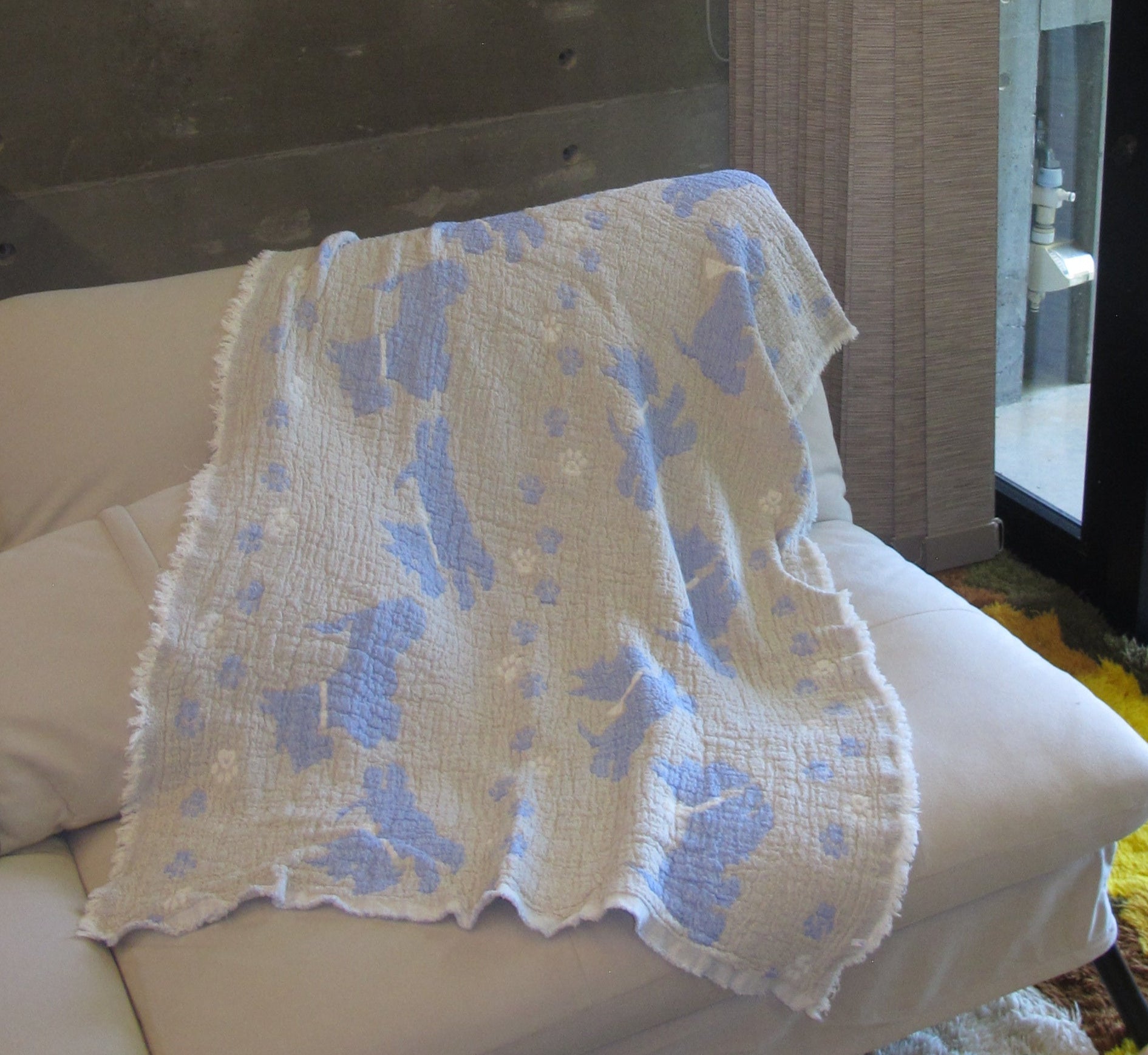 アニマルタオル　犬　cream/blue