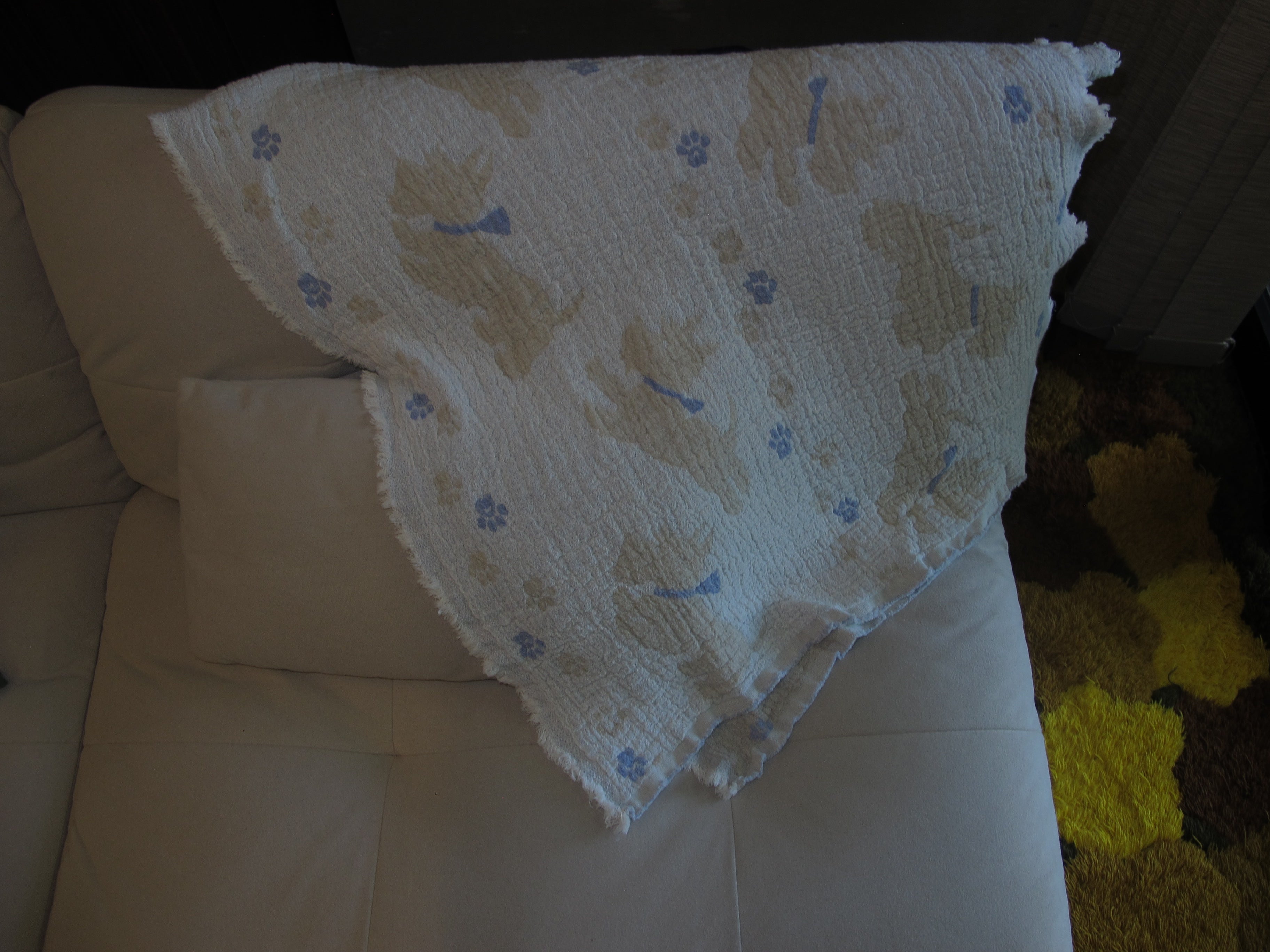 アニマルタオル　犬　cream/blue